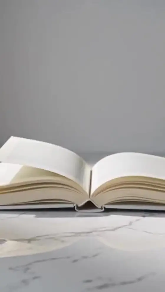 AI presenter. The author’s problem, in their words